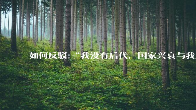 如何反驳:“我没有后代，国家兴衰与我无关！”这类语句?