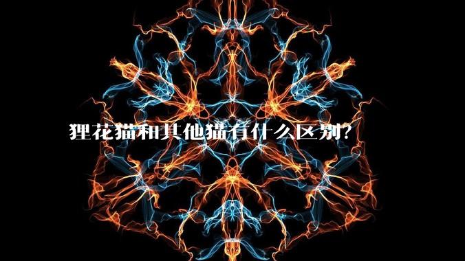 狸花猫和其他猫有什么区别？