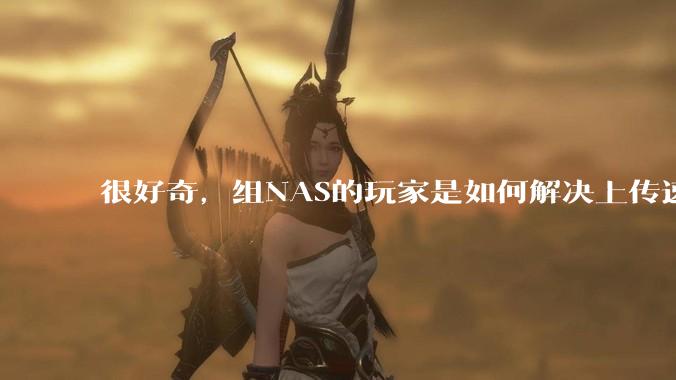 很好奇，组NAS的玩家是如何解决上传速率的问题?