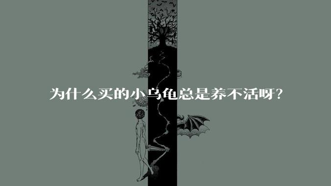 为什么买的小乌龟总是养不活呀？