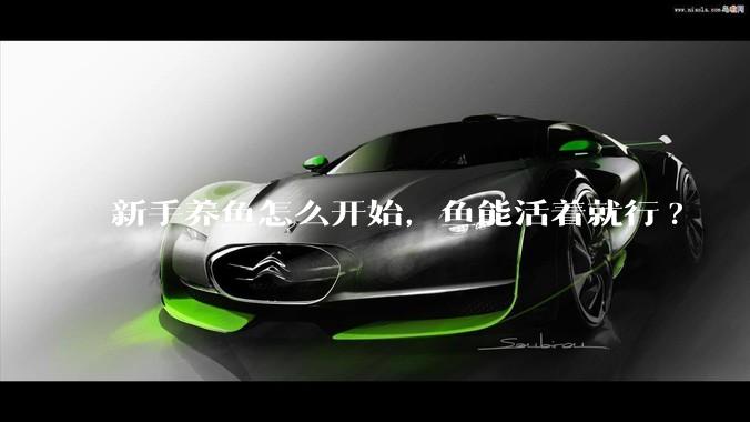 新手养鱼怎么开始，鱼能活着就行?