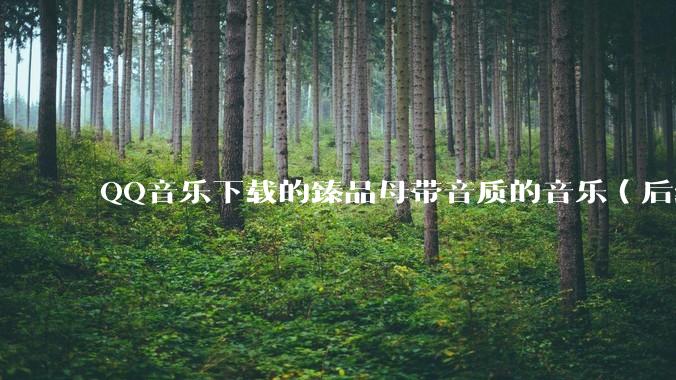 QQ音乐下载的臻品母带音质的音乐（后缀名为mflac2）的音频如何转为flac?