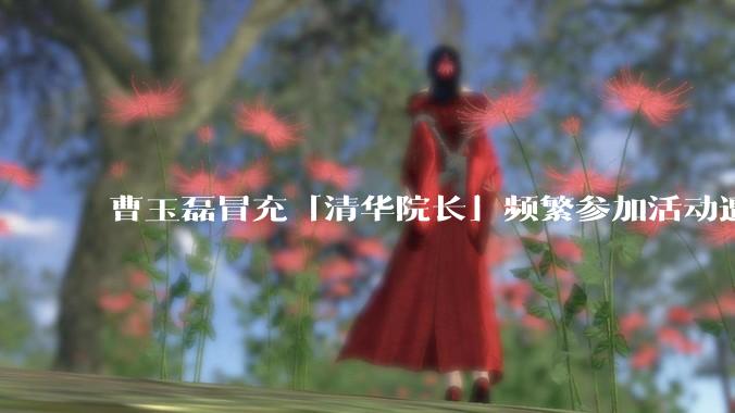 曹玉磊冒充「清华院长」频繁参加活动遭官方打***，他为何能堂而皇之以***身份开展活动？其将受到哪些处罚？