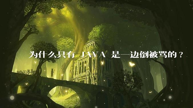 为什么只有 JAVA 是一边倒被骂的?