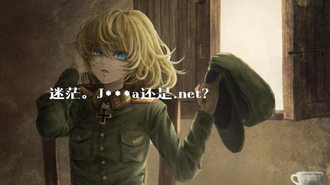 迷茫。J***a还是.net？