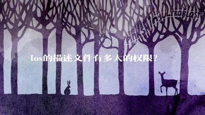 ios的描述文件有多大的权限？