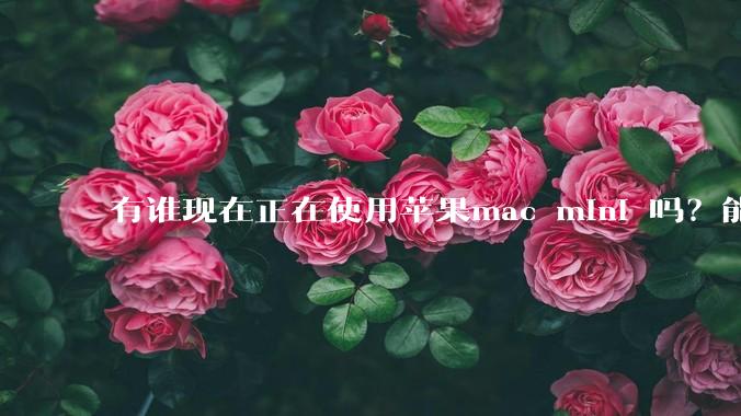 有谁现在正在使用苹果mac mini 吗？能分享一下使用感受不？
