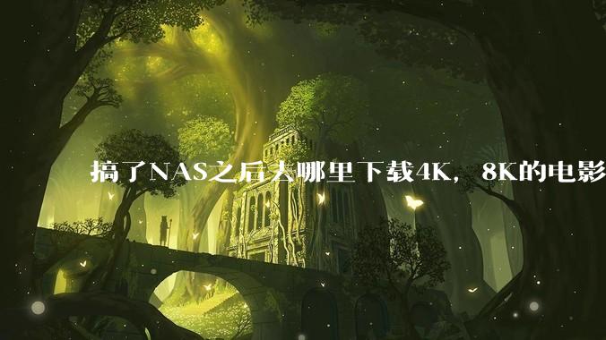 搞了NAS之后去哪里下载4K，8K的电影？