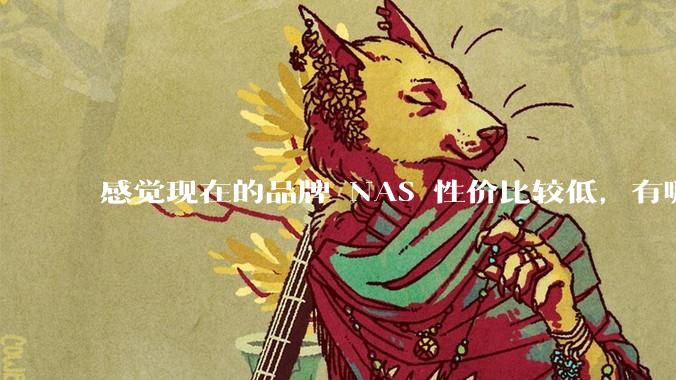 感觉现在的品牌 NAS 性价比较低，有哪些好的 DIY 方案？