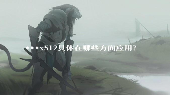 ***x512具体在哪些方面应用？