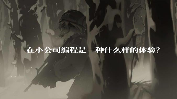 在小公司编程是一种什么样的体验？