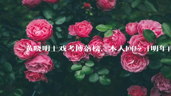 黄晓明上戏考博落榜，本人回应「明年再战」，怎样看明星对高学历的追求？上戏博士有多难考？