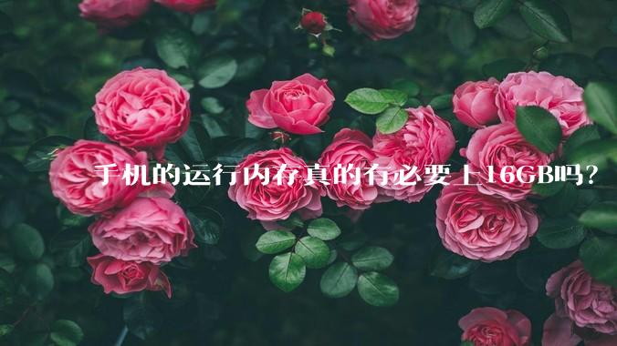 手机的运行内存真的有必要上16GB吗？