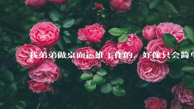 我弟弟做桌面运维工作的，好像只会简单的数据库增删改查备份恢复和打印机电脑的维护等一年多没工作了咋办？