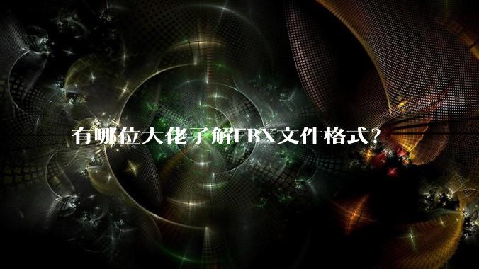 有哪位大佬了解FBX文件格式？