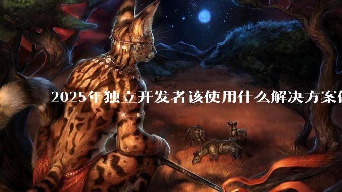 2025年独立开发者该使用什么解决方案做开发？前端和后端？