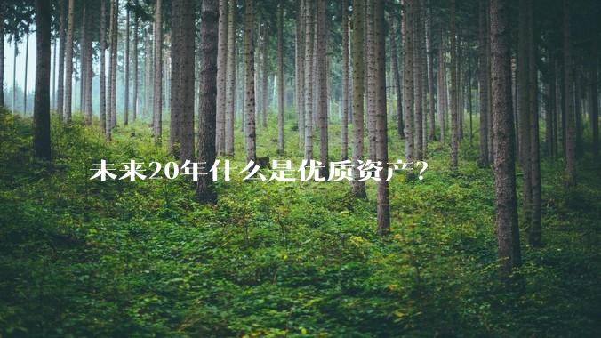 未来20年什么是优质资产？