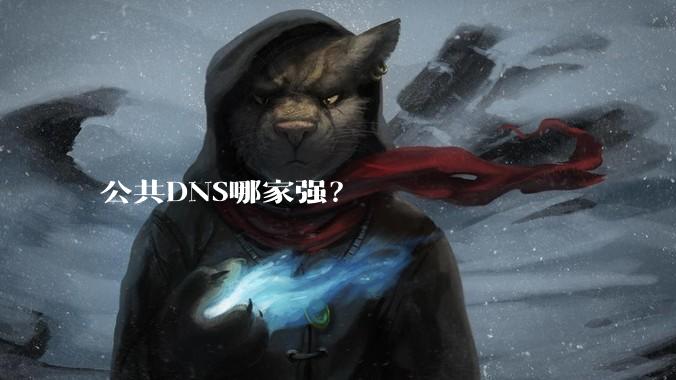 公共DNS哪家强？