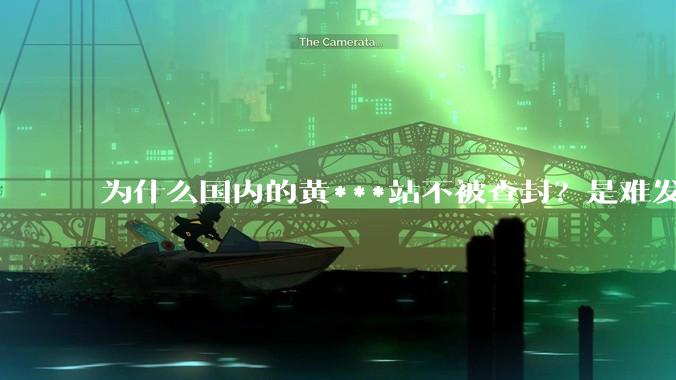 为什么国内的黄***站不被查封？是难发现吗？