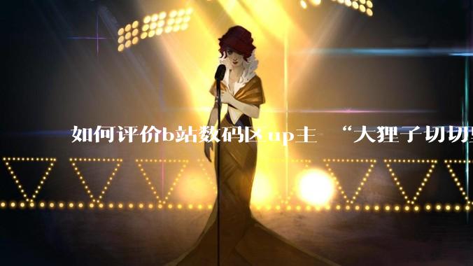 如何评价b站数码区up主 “大狸子切切里”?