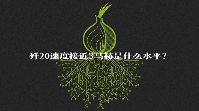 歼20速度接近3马赫是什么水平？