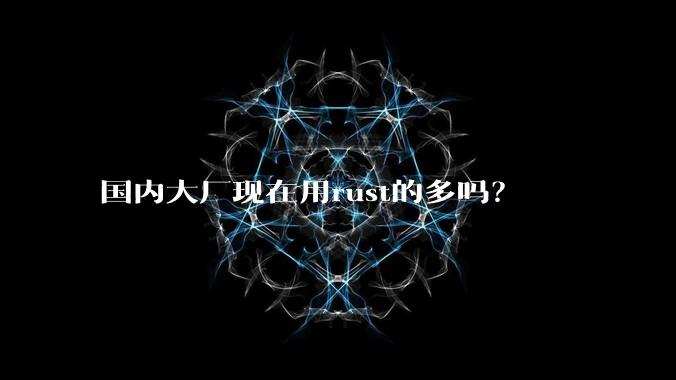 国内大厂现在用rust的多吗？