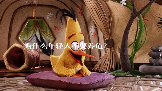 为什么年轻人不要养龟？