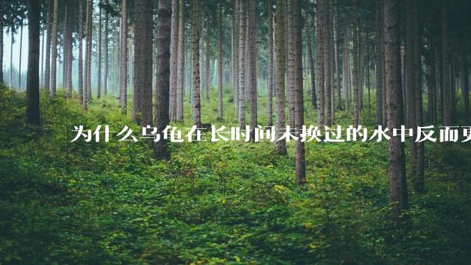 为什么乌龟在长时间未换过的水中反而更活跃？