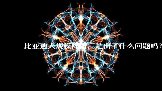 比亚迪大规模降价，是出了什么问题吗？