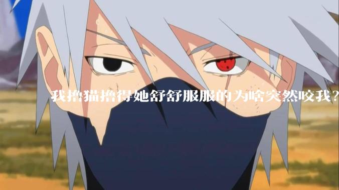 我撸猫撸得她舒舒服服的为啥突然咬我？