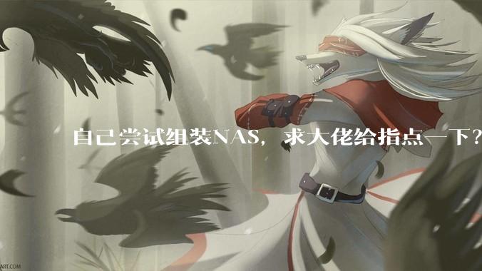 自己尝试组装NAS，求大佬给指点一下？