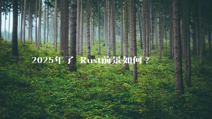 2025年了 Rust前景如何?