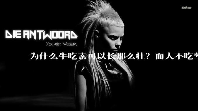 为什么牛吃素可以长那么壮？而人不吃荤就不行？