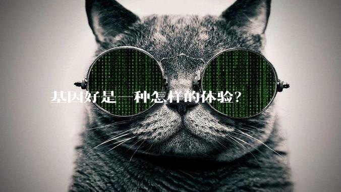 基因好是一种怎样的体验？