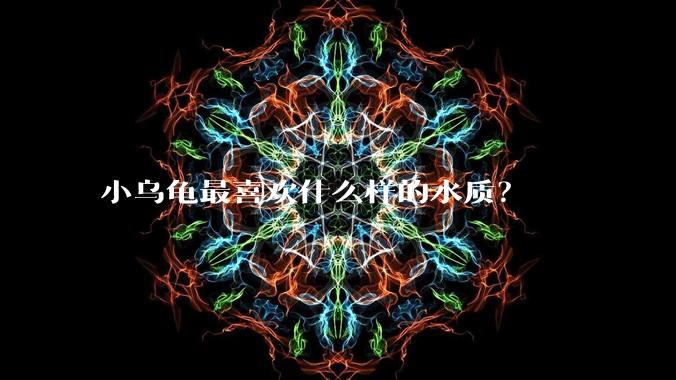 小乌龟最喜欢什么样的水质？