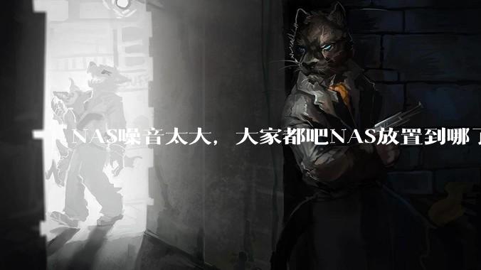 NAS噪音太大，大家都吧NAS放置到哪了？
