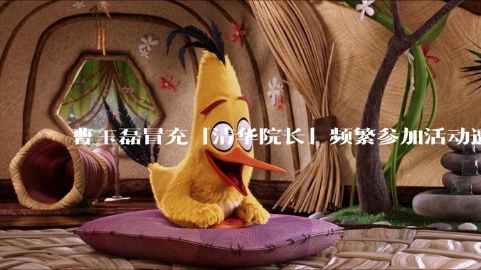 曹玉磊冒充「清华院长」频繁参加活动遭官方打***，他为何能堂而皇之以***身份开展活动？其将受到哪些处罚？
