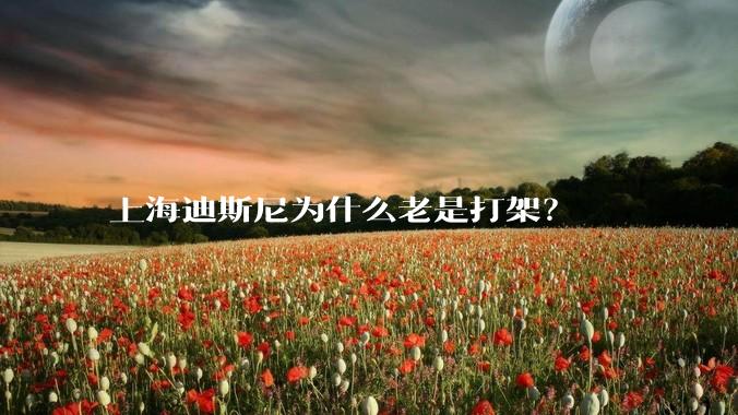 上海迪斯尼为什么老是打架？