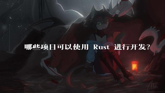 哪些项目可以使用 Rust 进行开发？