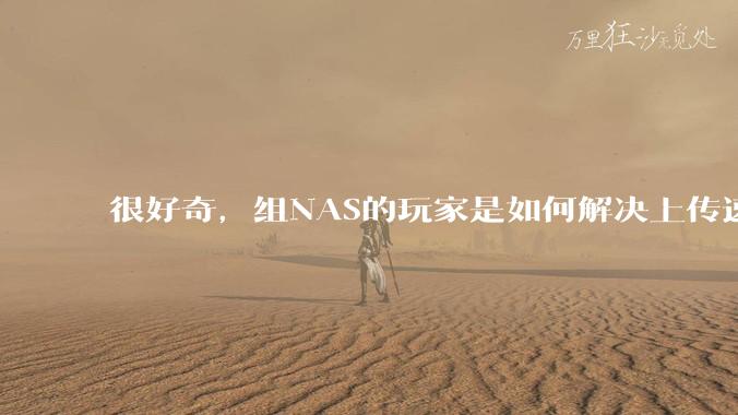 很好奇，组NAS的玩家是如何解决上传速率的问题?