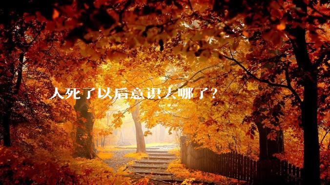 人死了以后意识去哪了？