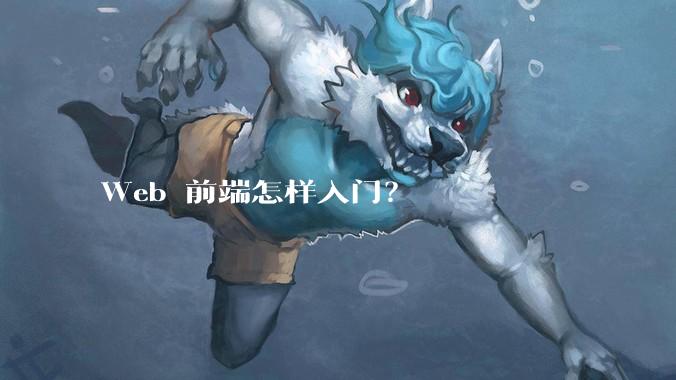 Web 前端怎样入门？