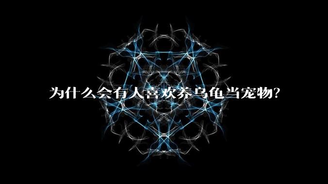 为什么会有人喜欢养乌龟当宠物？