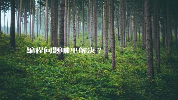 编程问题哪里解决?