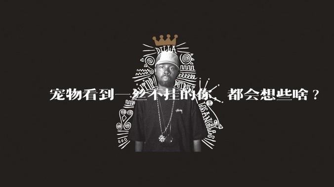 宠物看到一丝不挂的你, 都会想些啥?