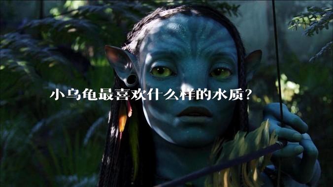 小乌龟最喜欢什么样的水质？