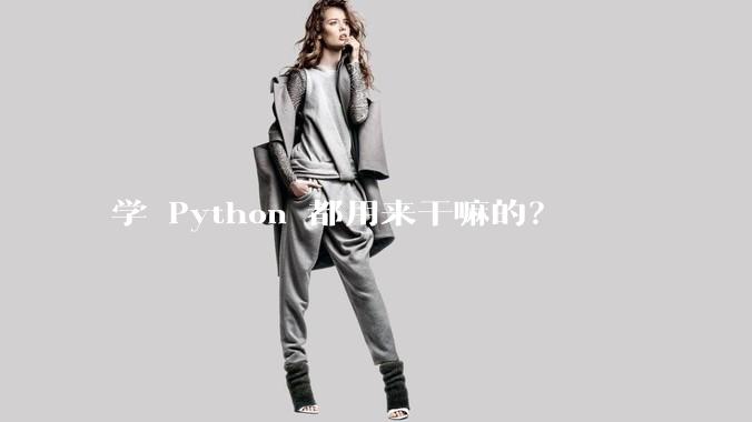 学 Python 都用来干嘛的？