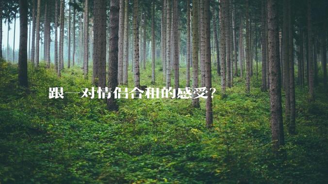 跟一对情侣合租的感受？