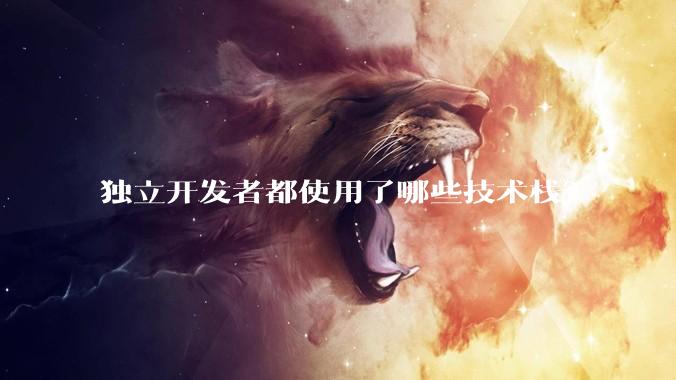 独立开发者都使用了哪些技术栈？