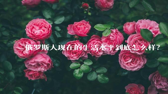 俄罗斯人现在的生活水平到底怎么样？